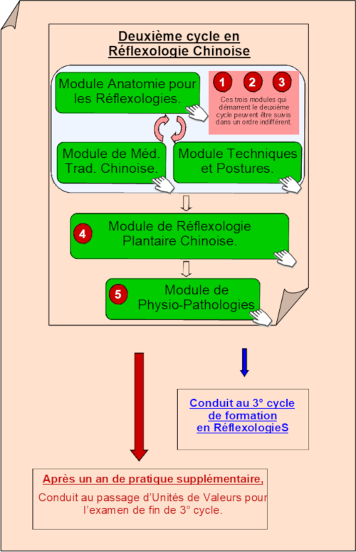 2 cycle de formation en reflexologie